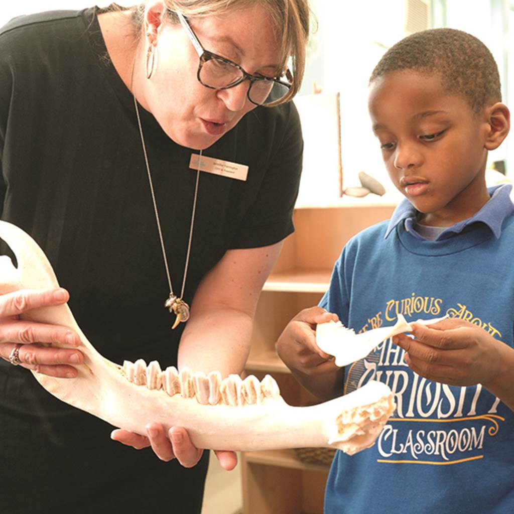 CPS Curiosity Classroom