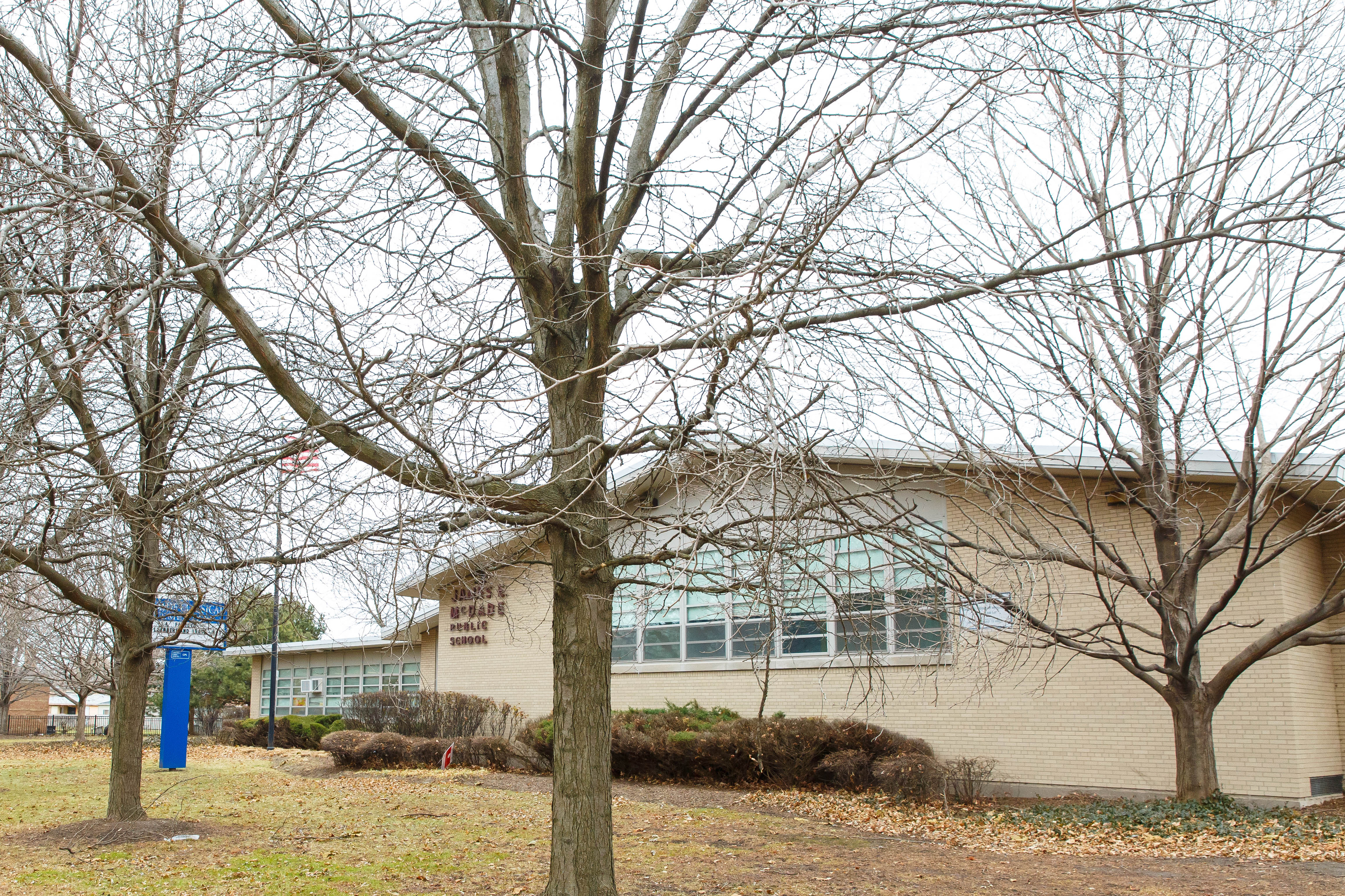 A tree in front of a building